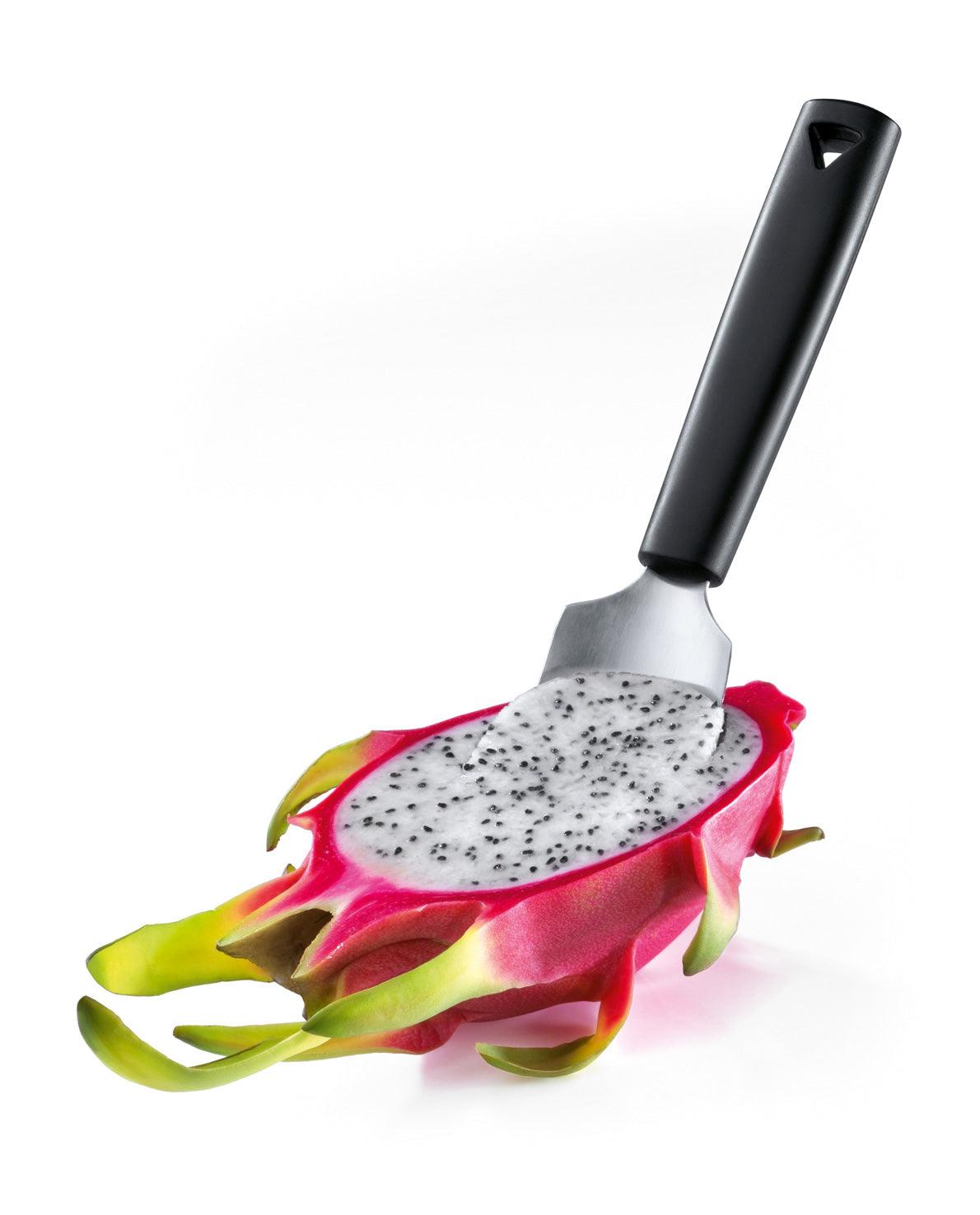 [Triangle] Fruit Spoon