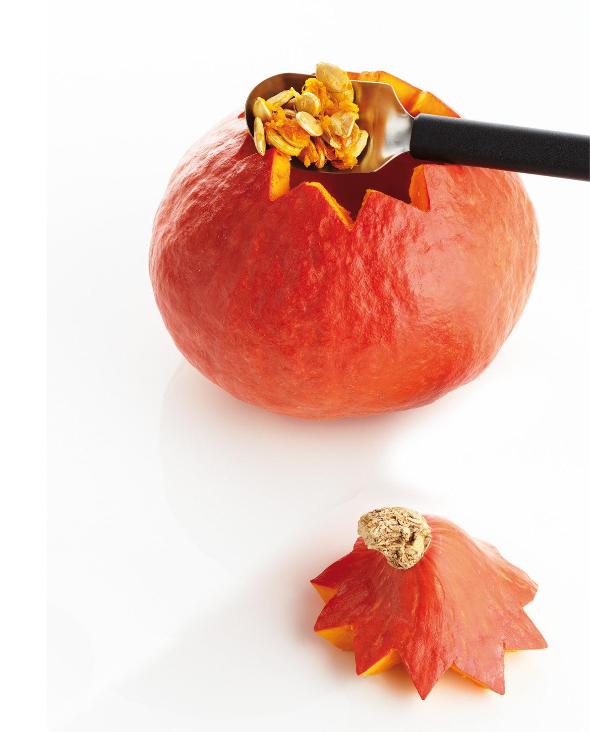 [Triangle] Fruit Spoon